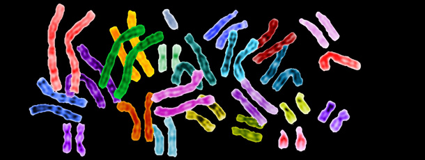 There are many uncertainties to consider as genetic medicine gets increasingly personal. Above: human chromosomes. (NHGRI)