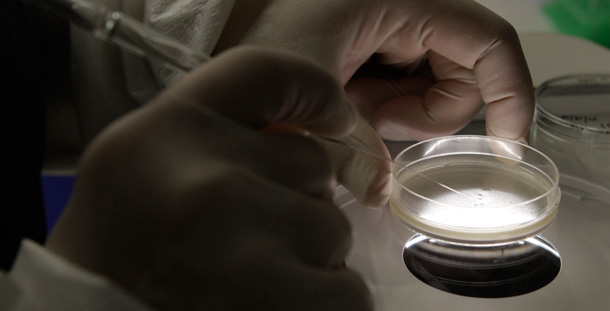 A research specialist expands human embryonic stem cells under a microscope at the University of Michigan Center for Human Embryonic Stem Cell Research Laboratory in Ann Arbor, Michigan. (AP/Paul Sancya)