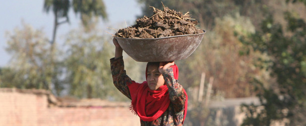 An Afghan girl carries cow dung for burning as fuel on her head in the outskirts of Jalalabad. (AP/Rahmat Gul)