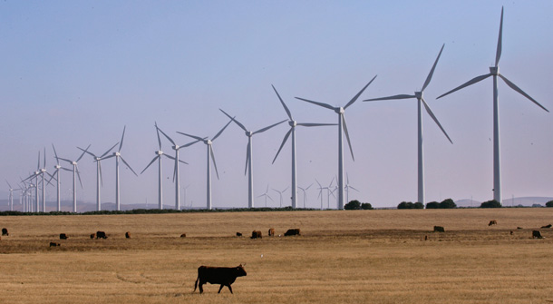 Cattle graze in front of wind mills of the Spanish utility Endesa in the Eolico Park, Spain. (AP/Javier Barbancho)