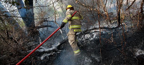 Firefighter Michael Marciniak fights his way through thick vegetation as firefighters battle a large wildfire on April 9, 2009, in Hudson Oaks, TX. In the United States, the 2009 fire season is already underway, with large and destructive fires recently hitting Oklahoma, Texas, and South Carolina. (AP/Tom Pennington)