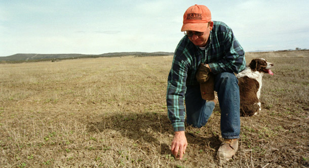 A farmer checks a field for surviving alfalfa plants after a year of severe drought. (AP/Jeff Barnard)