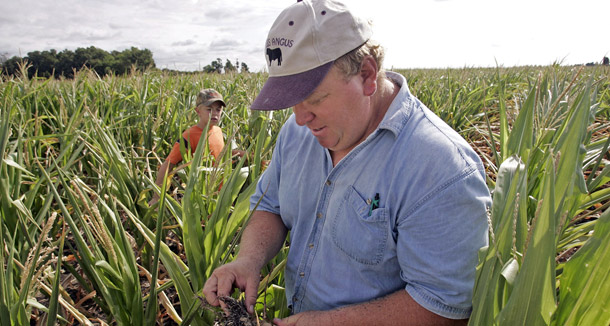 Jonathan Downey, right, looks at the short, dry roots of a corn stalk on his farm near Putnam, IL, an area hammered by drought in 2005. Prompt action on a comprehensive global warming bill is essential to reduce the risks from costly droughts. (AP/Brian Kersey)