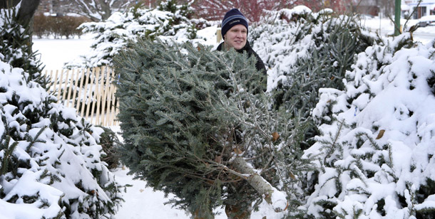 John White carries a Maine-grown Christmas tree at a tree lot in South Portland, ME. Real Christmas trees appear to have the environmental edge over artificial trees. (AP/Robert F. Bukaty)
