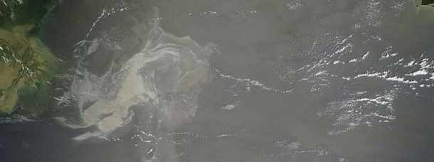 A satellite image provided by NASA shows a large patch of oil visible near the site of the Deepwater oil spill. A long ribbon of oil stretched far to the southeast. (AP/NASA)