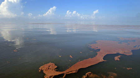 Oil from the Deepwater Horizon spill floats on the surface of the water of Barataria Bay, off the coast of Louisiana. (AP/Charlie Riedel)