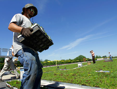 Los inmigrantes son integrales para el impulso de la innovación de la energía limpia. Ellos representan el 70 por ciento de los hombres y mujeres que han ingresado en los campos de la ciencia y la ingeniería entre 1995 y el 2006. (AP/ Seth Perlman)