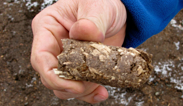 This type of woody biomass is a a pellet made with wood waste and a small amount of plastic binder and is part of the next generation of biofuels. (AP/John Flesher)