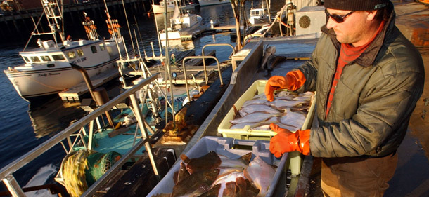 A fisherman unloads a portion of his catch for the day at Pigeon Cove Whole Foods docks in Gloucester, Massachusetts. Eric Schwaab, the administrator of the National Marine Fisheries Service, announced this week that overfishing will end in U.S. waters. (AP/Lisa Poole)