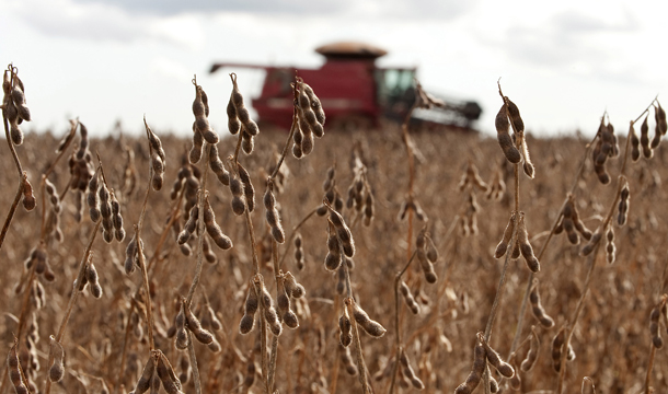 A worker on a tractor harvests soybeans in Campo Novo do Parecis, in the Brazilian state of Mato Grosso, Thursday, March 5, 2009. (AP/Maurilio Cheli)