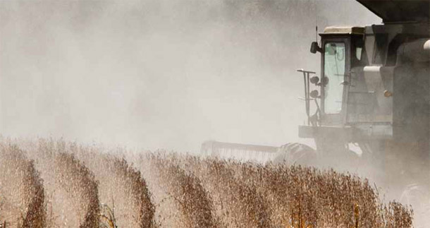 Poorly designed and ineffective agricultural subsidy programs weaken the competitiveness of our nation’s farmers and rural communities, drain taxpayer resources, and should be reformed. (AP/Nati Harnik)