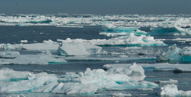 The Arctic is warming twice as fast as the rest of the planet.  Warming seas mean less ice, which means increased access for shipping, fishing, and oil and gas extraction in one of the last unexploited regions of the planet. (AP/Kike Calvo)