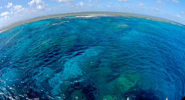 Today is World Oceans Day, an international celebration of our planet’s largest bodies of water. (AP/Kike Calvo)