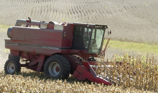 In this October 6, 2010 file photo, corn is harvested near Union, Nebraska. (AP/Nati Harnik)