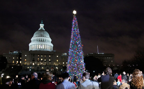 The U.S. Capitol Christmas tree  is seen after it was lit by House Speaker John Boehner (R-OH), during a  lighting ceremony December 6, 2011, in Washington. (AP/Pablo Martinez Monsivais)