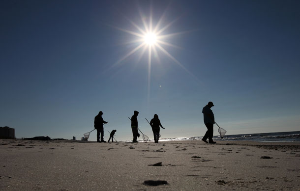 The RESTORE Act represents a tremendous step toward rebuilding the Gulf Coast region and diversifying the states’ economies, which were devasted by the Deepwater Horizon oil catastrophe. Above, cleanup crews search for oily tar balls along the beach in Gulf Shores, Alabama in 2011.
(AP/ Dave Martin)