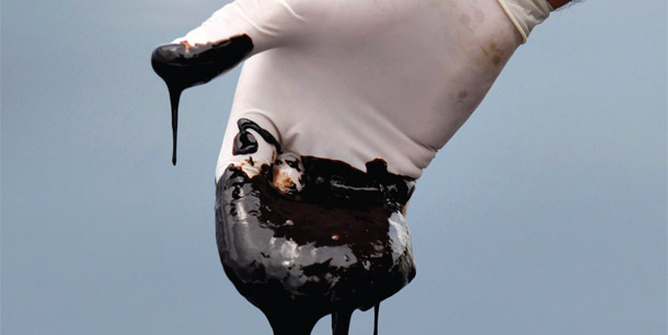 A member of Louisiana Gov. Bobby Jindal's staff reaches into thick oil on the surface of the northern regions of Barataria Bay in Plaquemines Parish, Louisiana on June 15, 2010. Americans should consider what our future will look like if we allow Big Oil and its congressional allies to have their way. (AP/Gerald Herbert)