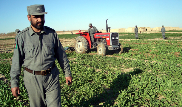 An Afghan police officer walks across the field as his fellow uses a tractor to destroy poppy crops in Lashkargah, Afghanistan's Helmand province, during poppy eradication operations. (AP/Abdul Khaleq)