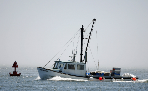 Promoting industries that recognize and augment the clean and healthy ocean, coastal, and Great Lakes ecosystems is crucial to our financial, biological, cultural, and spiritual well-being. (AP/Robert F. Bukaty)