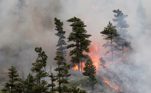 Fire burns through trees on the Hewlett wildfire in the Poudre Canyon northwest of Fort Collins, Colorado, in May. (AP/Ed Andrieski)