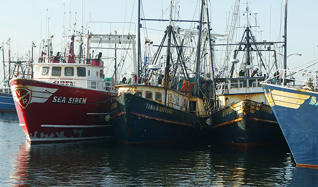 Fishing boats are shown docked at the pier in New Bedford, Massachusetts. (AP/Stew Milne)