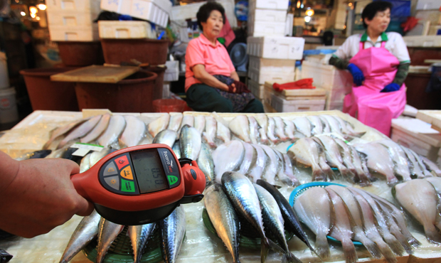 A worker using a Geiger counter checks for possible radioactive contamination at Noryangjin Fisheries Wholesale Market in Seoul, South Korea, Friday, September 6, 2013. (AP/Ahn Young-joon)