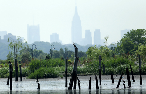 A group of cormorants stands on pilings on the Hackensack River in New Jersey with the New York City skyline in the background, Tuesday, June 18, 2013. Superstorm Sandy caused tens of billions of dollars in damages when it pummeled the region after roaring ashore in New York and New Jersey last fall. (AP/Julio Cortez)