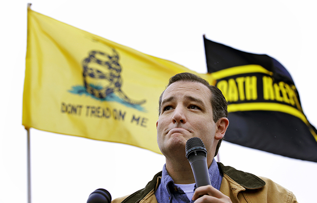Tea Party Sen. Ted Cruz (R-TX) speaks at a rally at the World War II Memorial in Washington, Sunday, October 13, 2013. (AP/Alex Brandon)