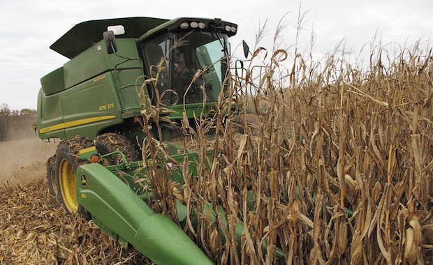Bill Bass, 63, harvests corn on acreage near the southern Illinois town of Cobden, Tuesday, November 5, 2013. (AP/Jim Suhr)