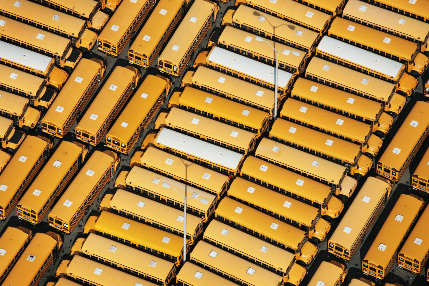 Lines of school buses are pictured in a lot.