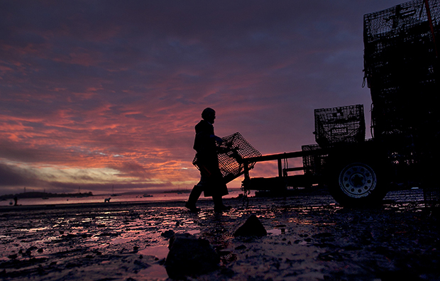 A new day dawns as the season comes to a close for lobsterman Norman Haynes, 69, as he loads traps onto a trailer, October 19, 2012, in Falmouth, Maine. (AP/Robert F. Bukaty)