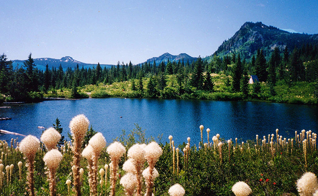 The Sawtooth Berry Fields are shown in the Gifford Pinchot National Forest in Idaho. (AP/National Park Service)