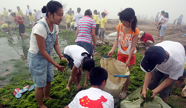 Young volunteers clean up a beach thick with blue-green algae in Qingdao, eastern China, in advance of the 2008 Summer Olympic Games. (AP/Ng Han Guan)