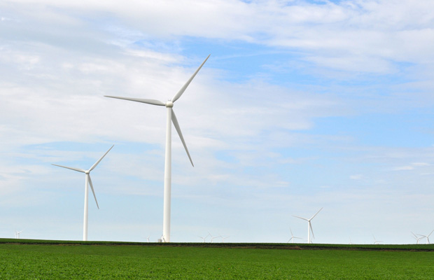 Goldwind turbines are seen at Shady Oaks project in Illinois. (AP)