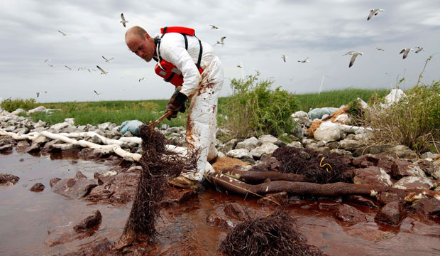 A worker picks up blobs of oil on Queen Bess Island near the Gulf of Mexico in Plaquemines Parish, Louisiana, on June 4, 2010. (AP/Gerald Herbert)