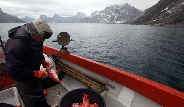 An Inuit fisherman catches redfish along a fjord near Nuuk, Greenland. (AP/Brennan Linsley)