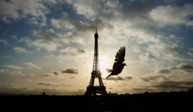 A bird flies in front of the Eiffel Tower in Paris on Sunday, November 15, 2015. (AP/Daniel Ochoa de Olza)