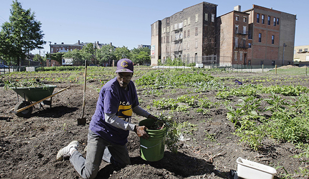 A man plants vegetables in a garden in the Over-the-Rhine neighborhood, July 2010, near downtown Cincinnati. (AP/Al Behrman)
