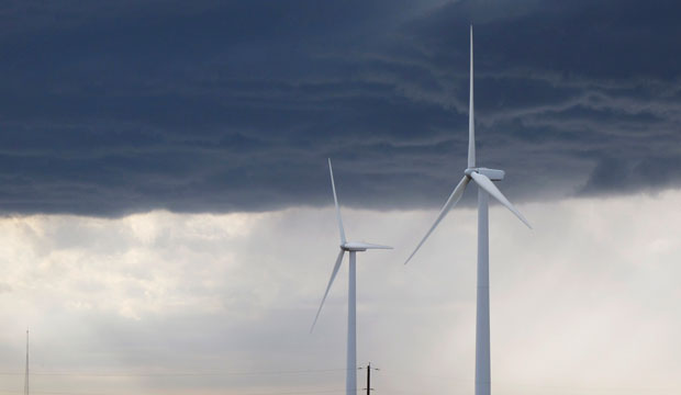 Electricity-generating wind turbines in a corn field outside of Carlock, Illinois. (AP/David Mercer)