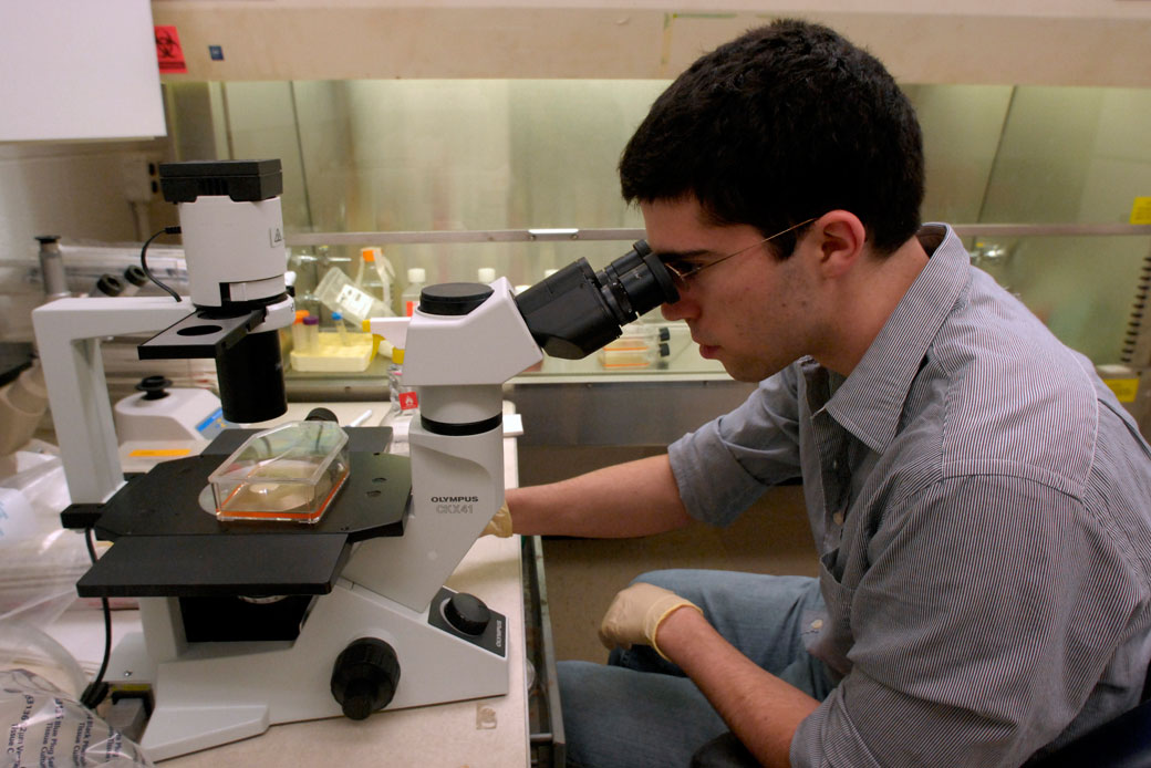 A Duke University student looks at the density of cells through a microscope in Durham, North Carolina, in February 2008. (AP/Sara D. Davis)