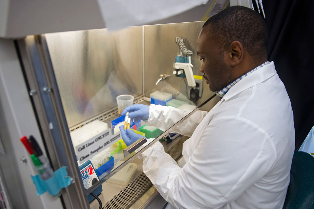 A biologist works with serum samples in a study of an experimental Ebola vaccine in February 2015. (AP/Cliff Owen)