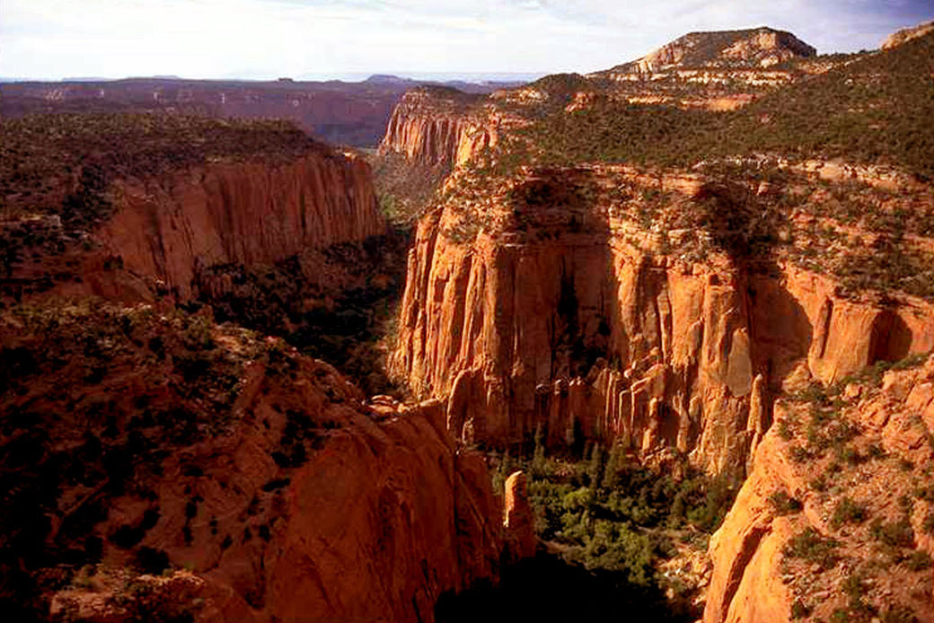 The Upper Gulch section of the Escalante Canyons  features sheer sandstone walls, broken occasionally by tributary canyons. (AP/Jerry Sintz)