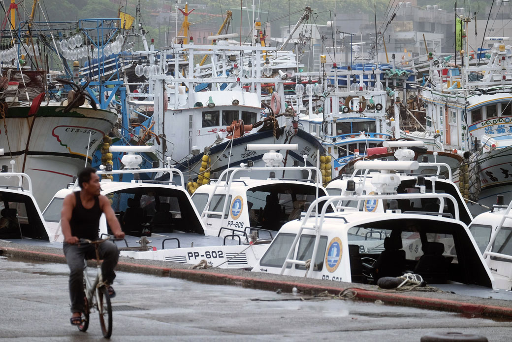 A fisheries worker rides a bicycle past fishing ships docked at Partouze Harbour in Keelung as Typhoon Chan-hom brings rain to northern Taiwan on July 10, 2015. (Getty/Sam Yeh/AFP)