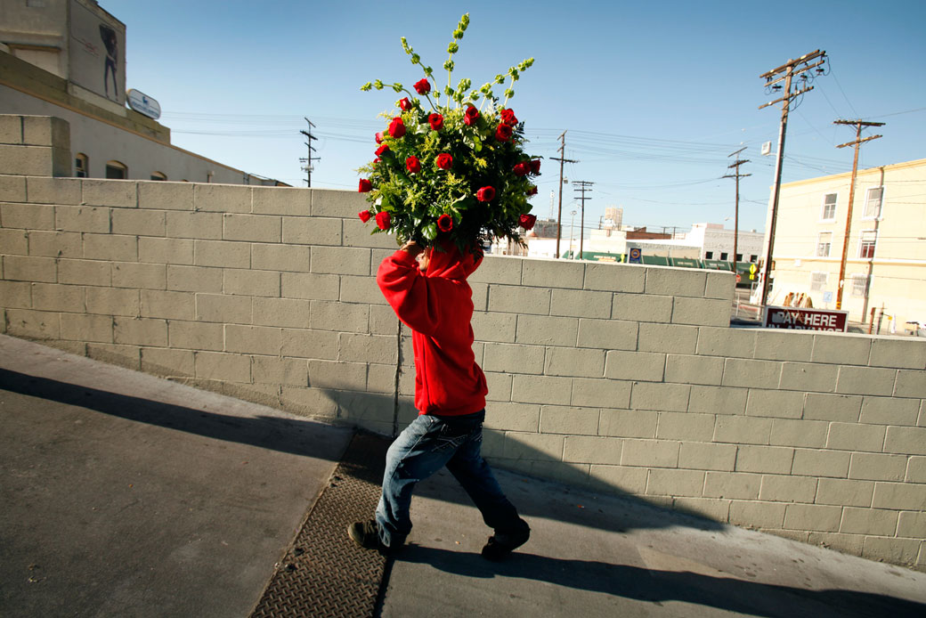 A man carries a huge bouquet of roses in Los Angeles, Valentine's Day 2012. (Getty/Al Seib)