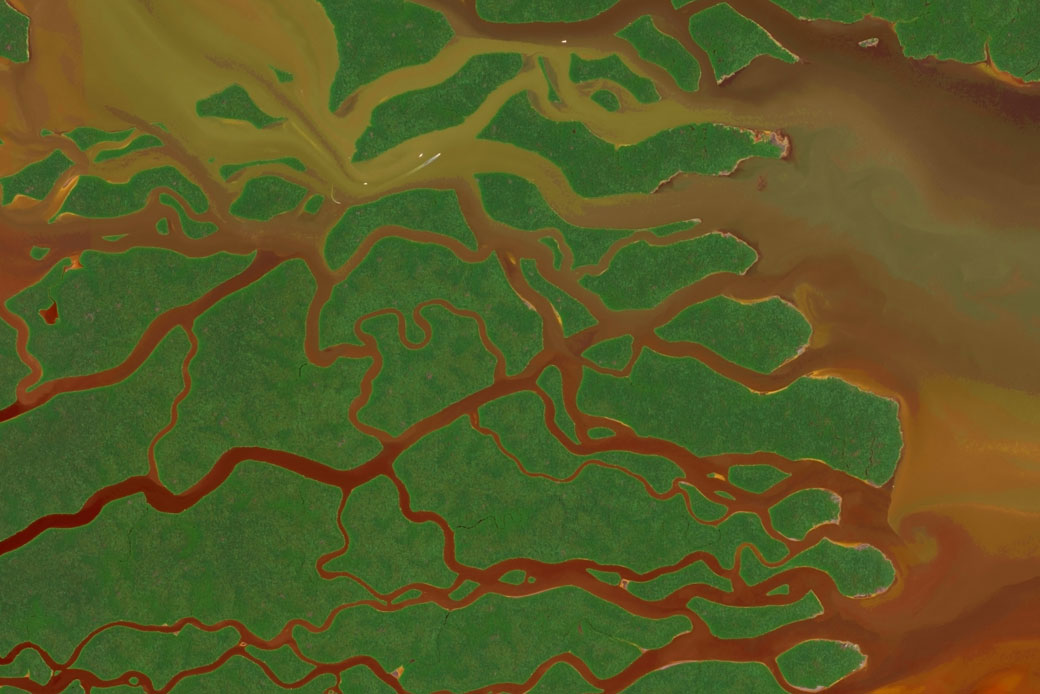 DigitalGlobe satellite image of the Everglades National Park in Florida, September 2017. (Getty/DigitalGlobe)
