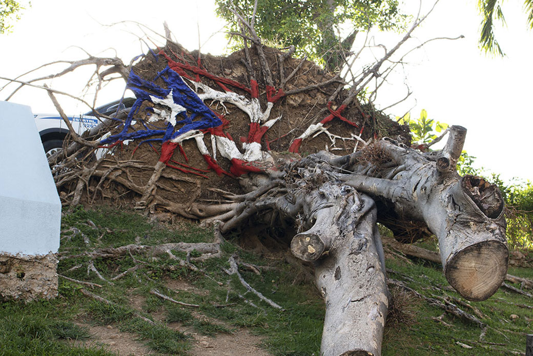 A Puerto Rican flag is painted over a fallen tree in San Juan, Puerto Rico, May 2018. (Vernessa Shih)