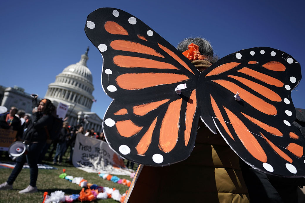 An immigration activist wears monarch butterfly wings for a march on Capitol Hill in Washington, D.C., March 2018. (Getty/Alex Wong)