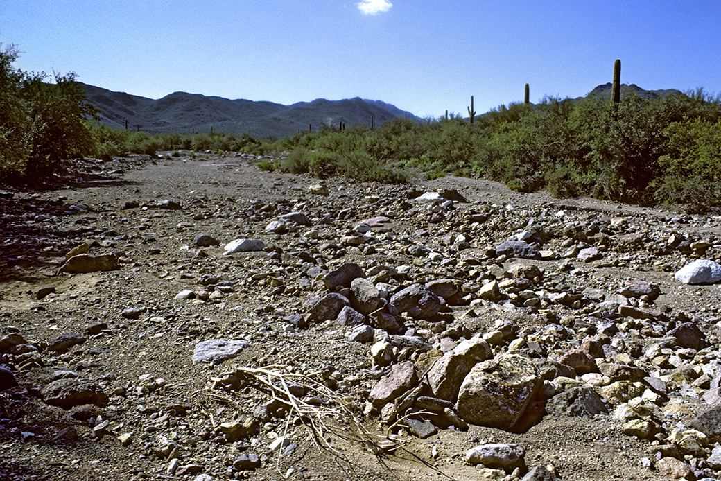 An arroyo, or dry streambed, is seen in the Sonoran Desert in the Tucson Mountains, Tucson, Arizona. (Getty/Wild Horizons/UIG)