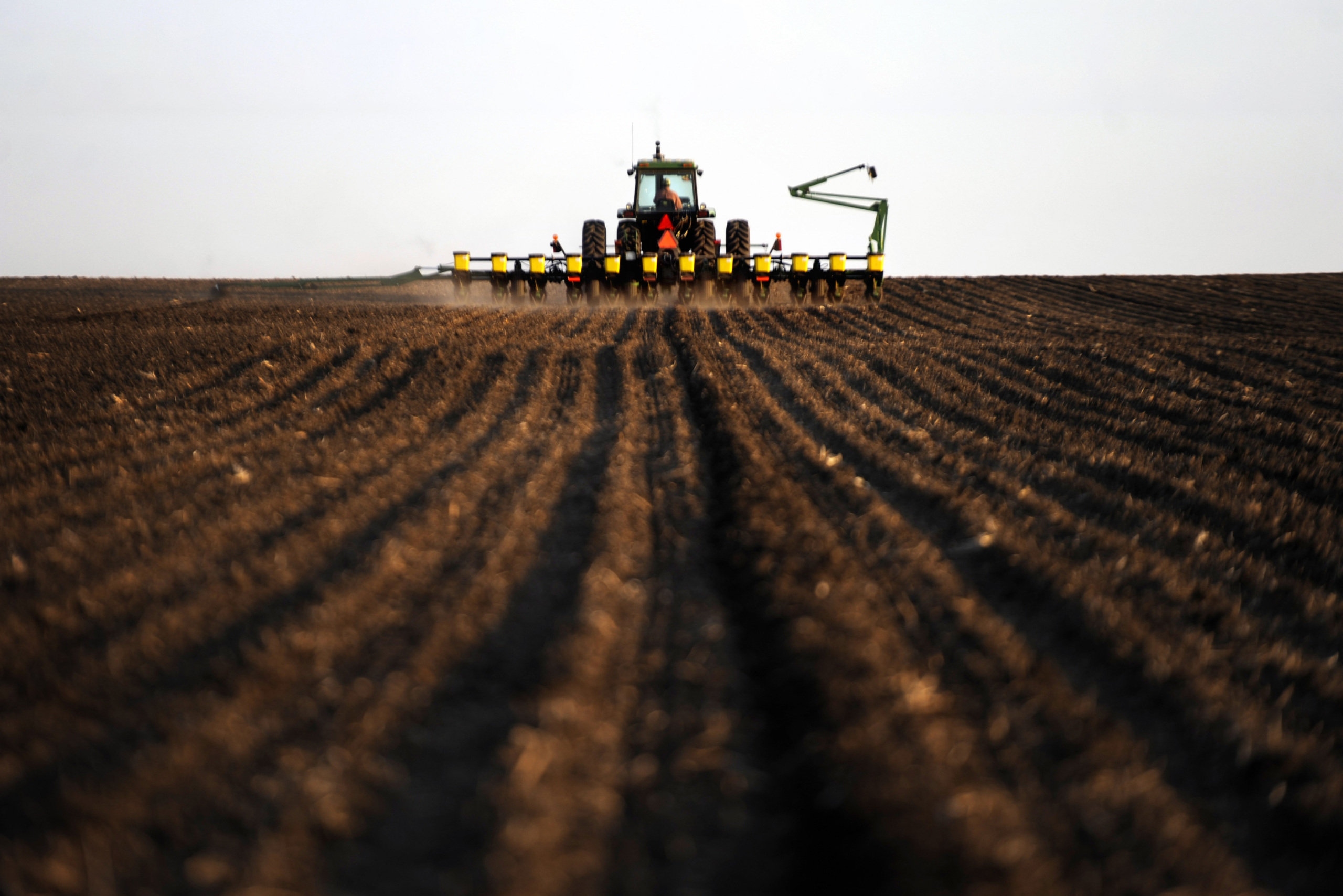 Progressive Governance Can Turn the Tide for Black Farmers