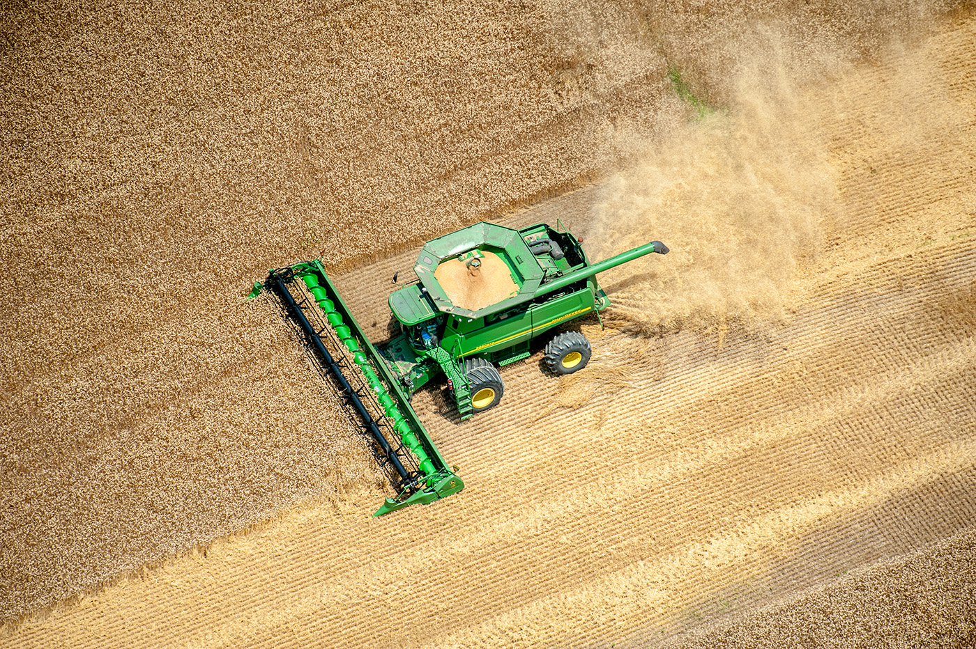 A combine harvests wheat on the eastern shore of Maryland, June 2013. (Getty/ Edwin Remsburg)